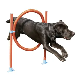 Rosewood Agility Hoop Jump