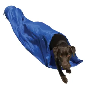 Rosewood Agility Tunnel