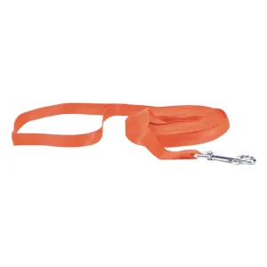 Rosewood Recall Lead