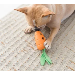 Carrot Stuffer Dog Treat Toy with French bulldog brown dog lifestyle