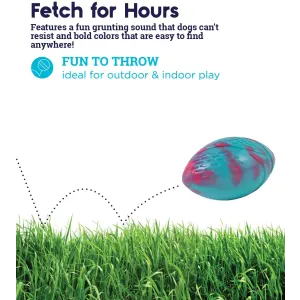 Grunt Fetch Football Dog Toy blue and pink fetch for hours