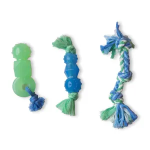 Mini Dental Puppy Chew Toys multi-colored chew toys