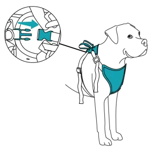 Happy Ride Dog Safety Harness how to use infographic