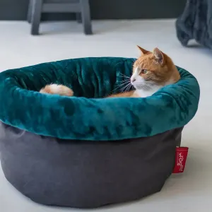 Wagworld Nap Sack grey and teal with ginger cat lifestyle image