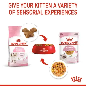 Royal Canin Kitten Sterilised Wet Cat Food - Jelly infographic with dry kibble