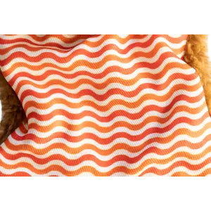 Little Nippers Cheeky Chimp Dog Toy close up of red and orange stripes