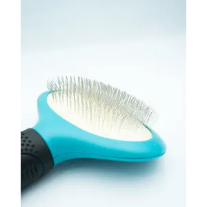 Oval Slicker Brush For Dogs close up of slicker pins on plastic brush