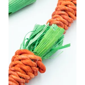 Carrot Dreamcatcher Small Pet Toy close up of carrot with paper grass