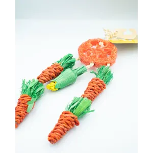 Carrot Dreamcatcher Small Pet Toy side profile with orange sisal carrots and green accents