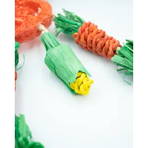 Carrot Dreamcatcher Small Pet Toy close up of yellow corn cob