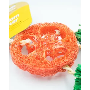 Carrot Dreamcatcher Small Pet Toy close up of orange loufa center piece