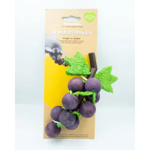 Grape ‘n Gnaw Toy for Small Pets & Birds in packaging