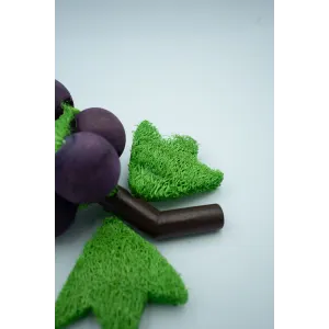 Grape ‘n Gnaw Toy for Small Pets & Birds close up of stale made from wood