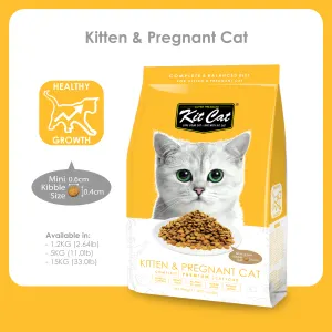 Best food for pregnant cat online