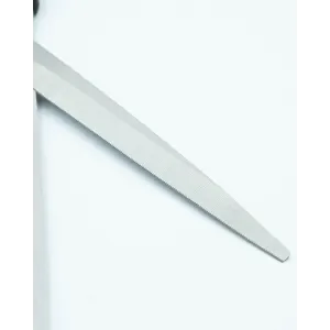 Grooming Scissors For Dogs close up of sharp metal side