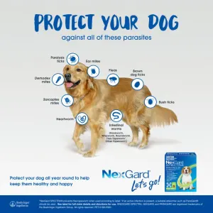 NexGard Spectra Chewable Mixed Parasite Tablets for Dogs information picture of what it protectss against