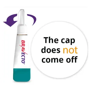 Bravecto Tick & Flea Spot On for Cats pipette with twist cap