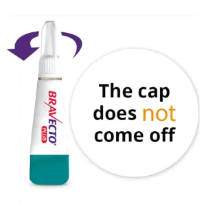 Bravecto Plus Tick, Flea & Dewormer Spot On for Cats pipette with twist cap