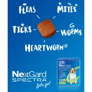NexGard Spectra Chewable Mixed Parasite Tablets for Dogs information picture of what Spectra protects against