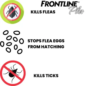 Frontline Plus for Dogs Tick & Flea Spot On Treatment what it treats
