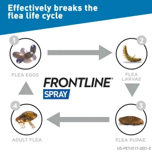 Frontline Spray Treatment for Tick & Fleas on Dogs and Cats flea life cycle inforgraphic