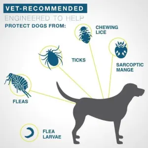 Seresto Tick, Flea & Biting Lice Control Collar for Dogs what it covers and protects against