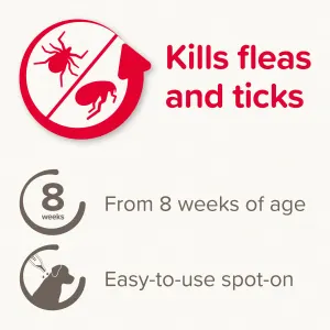 Fiprotec Spot On Tick & Flea Treatment for Dogs  protection from 8 weeks and easy to use