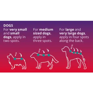 Revolution for Dogs Mixed Parasite Spot On how to apply on different sized dogs