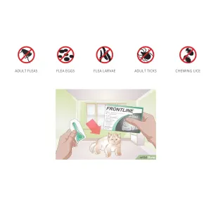 Frontline Plus Tick & Flea Spot On Treatment for Cats what is protects against