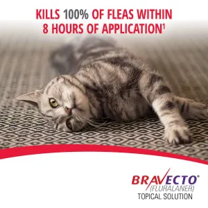 Bravecto Plus Tick, Flea & Dewormer Spot On for Cats kills fleas within eight hours infographic