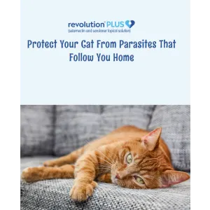 Revolution Plus For Cats Mixed Parasite Spot On protection against those follow home pests
