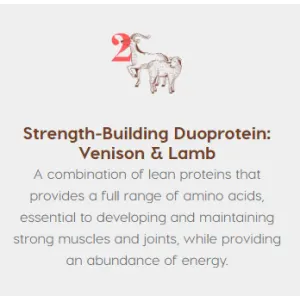 Montego Karoo Venison & Lamb Hypoallergenic Dog Food strength building info picture