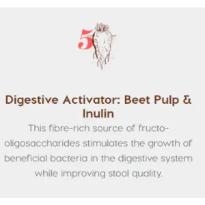 Montego Karoo Venison & Lamb Hypoallergenic Dog Food digestive activator info picture