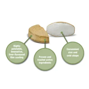 Milpro Deworming Tablet for Dogs tablet with palatable coating
