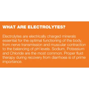Pro-Lyte with Glutamine for Dogs and Cats what are electrolytes