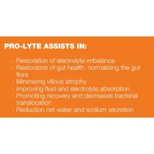Pro-Lyte with Glutamine for Dogs and Cats picture of what it assists with