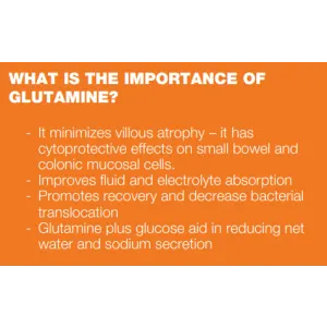 Pro-Lyte with Glutamine for Dogs and Cats picture showing the importance of glutamine