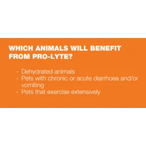 Pro-Lyte with Glutamine for Dogs and Cats picture depicting which animals will benefit from it