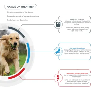 GCS Joint Care Advanced Powder For Dogs information picture of the goals of treatment