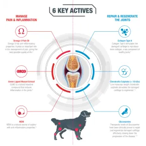 GCS Joint Care Advanced Powder For Dogs six key active ingredients in GCS