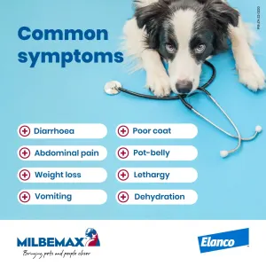 Milbemax Chewable Deworming Tablets for Puppies & Small Dogs 1 to 5 kg common symptoms information picture