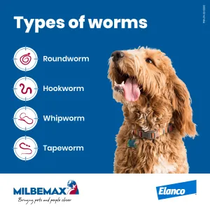 Milbemax Chewable Deworming Tablets for Dogs over 5 kg types of worms it covers information picture