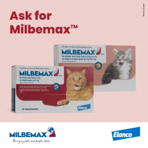 Milbemax Deworming Tablets for Kittens & Small Cats ask for milbemax information picture