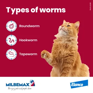 Milbemax Tasty Deworming Tablets for Cats over 2kg types of worms information picture