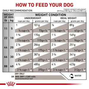 Royal Canin Gastro Intestinal High Fibre Dog Food feeding guidelines