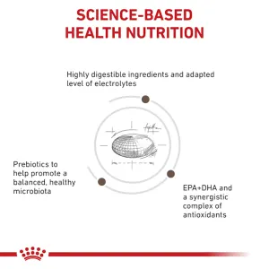 Royal Canin Gastro Intestinal Moderate Cal Cat Food ePETstore