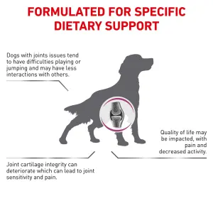 Royal canin cp2+ clearance mobility