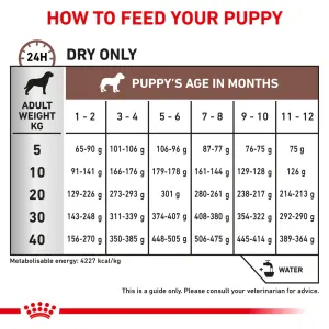 Buy Royal Canin Gastro Intestinal Puppy Food Online ePETstore