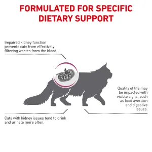 Royal Canin Renal Adult Cat Food 2 KG at ePETstore