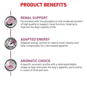 Royal canin renal dog food pets at home 2025